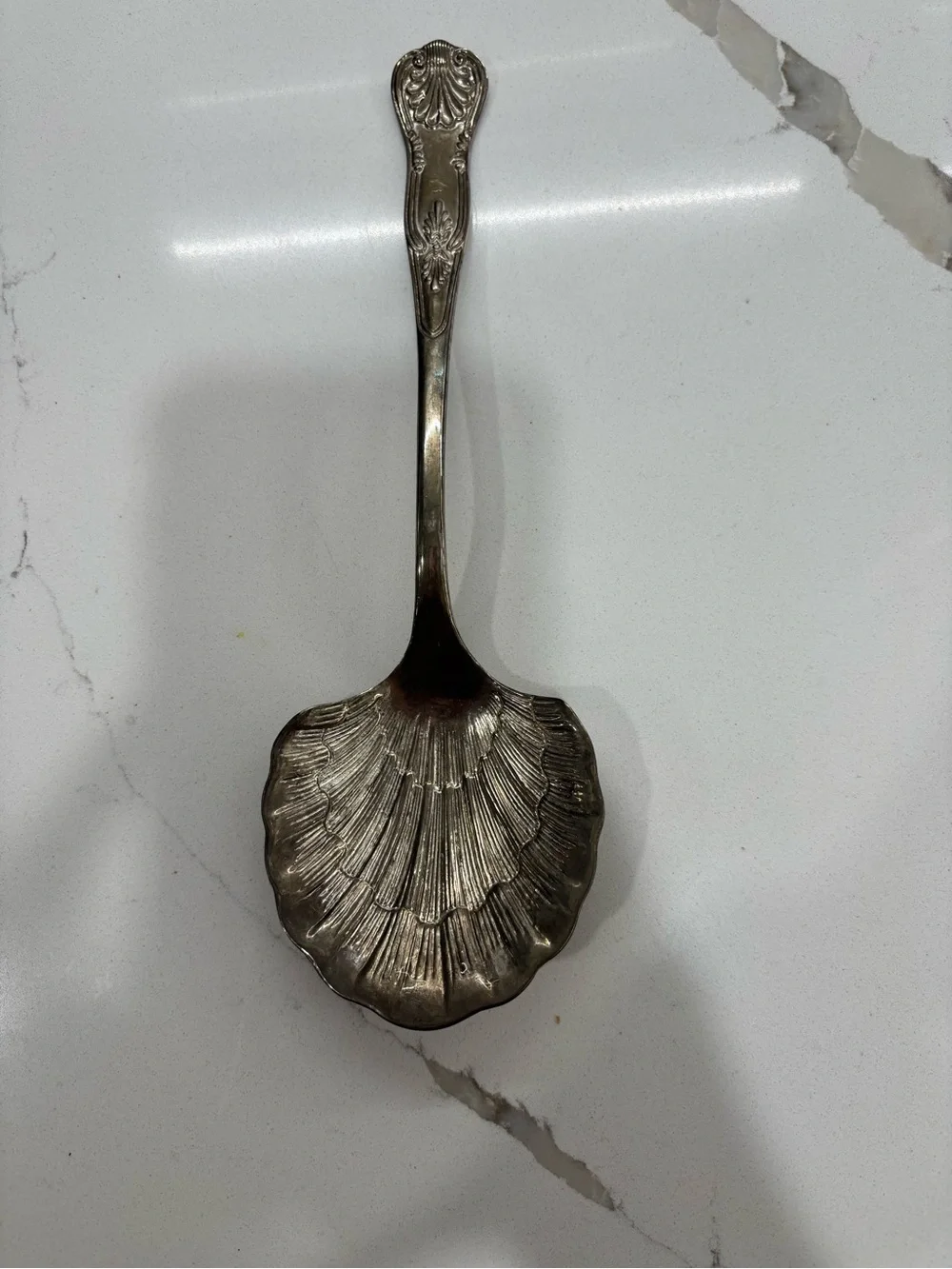 Ornate Silver Shell Serving Spoon - Classic Home Dining